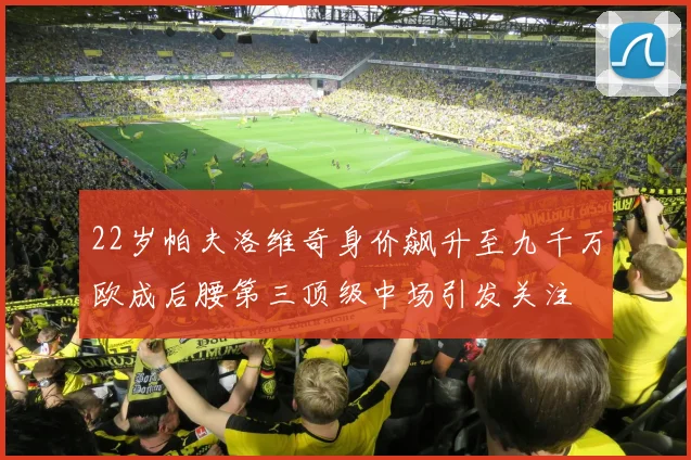 22岁帕夫洛维奇身价飙升至九千万欧成后腰第三顶级中场引发关注