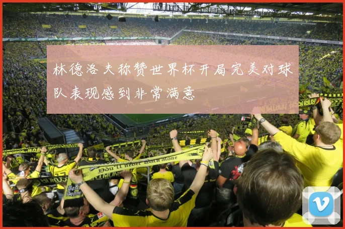 林德洛夫称赞世界杯开局完美对球队表现感到非常满意