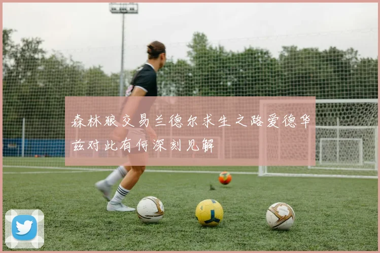 森林狼交易兰德尔求生之路爱德华兹对此有何深刻见解